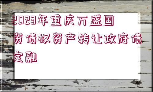 2023年重慶萬盛國資債權(quán)資產(chǎn)轉(zhuǎn)讓政府債定融