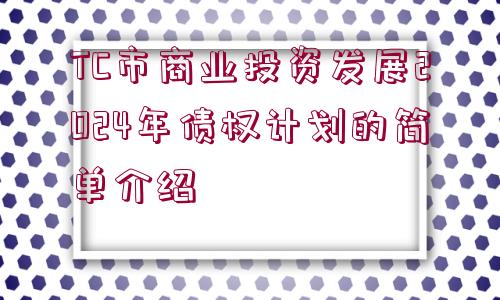 TC市商業(yè)投資發(fā)展2024年債權(quán)計(jì)劃的簡單介紹