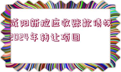 咸陽新控應(yīng)收賬款債權(quán)2024年轉(zhuǎn)讓項(xiàng)目