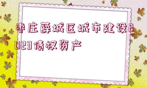 棗莊薛城區(qū)城市建設2023債權資產