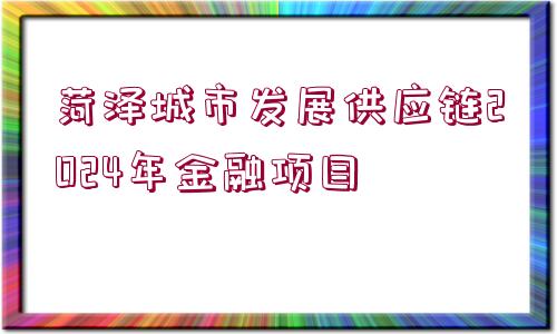 菏澤城市發(fā)展供應(yīng)鏈2024年金融項(xiàng)目