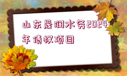 山東晟潤水務2024年債權項目