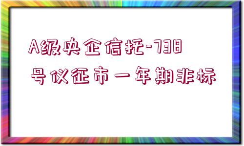 A級央企信托-738號儀征市一年期非標