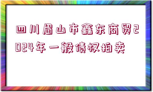 四川眉山市鑫東商貿(mào)2024年一般債權(quán)拍賣(mài)