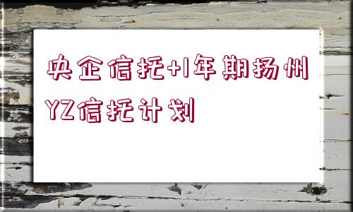 央企信托+1年期揚(yáng)州YZ信托計(jì)劃