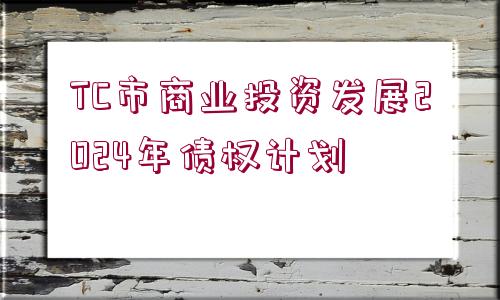 TC市商業(yè)投資發(fā)展2024年債權(quán)計(jì)劃