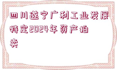 四川遂寧廣利工業(yè)發(fā)展特定2024年資產(chǎn)拍賣