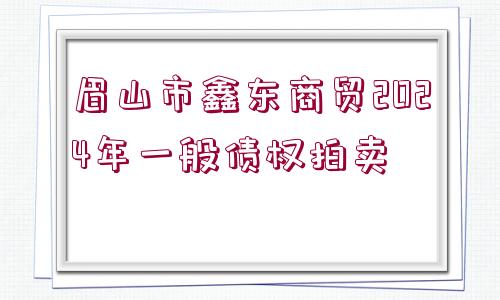 眉山市鑫東商貿(mào)2024年一般債權(quán)拍賣