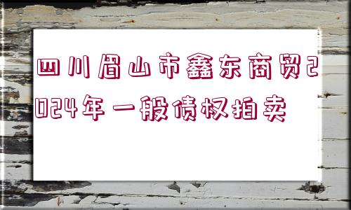 四川眉山市鑫東商貿(mào)2024年一般債權(quán)拍賣(mài)