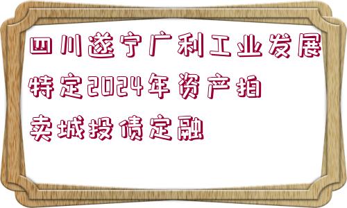 四川遂寧廣利工業(yè)發(fā)展特定2024年資產(chǎn)拍賣城投債定融