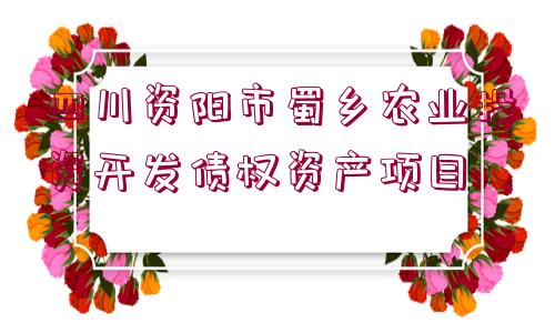 四川資陽市蜀鄉(xiāng)農(nóng)業(yè)投資開發(fā)債權(quán)資產(chǎn)項目