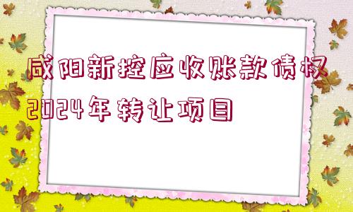 咸陽新控應收賬款債權(quán)2024年轉(zhuǎn)讓項目