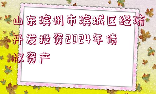 山東濱州市濱城區(qū)經(jīng)濟(jì)開(kāi)發(fā)投資2024年債權(quán)資產(chǎn)