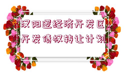 武漢陽邏經(jīng)濟開發(fā)區(qū)建設開發(fā)債權轉(zhuǎn)讓計劃