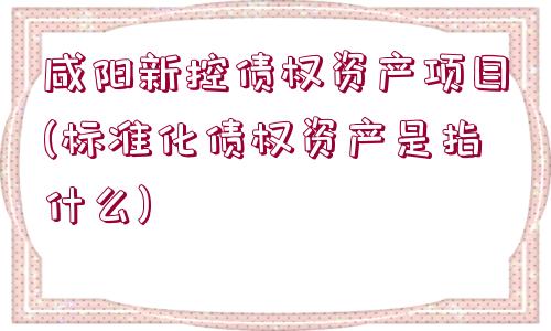 咸陽新控債權(quán)資產(chǎn)項(xiàng)目(標(biāo)準(zhǔn)化債權(quán)資產(chǎn)是指什么)