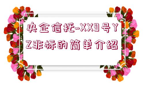 央企信托~XX9號(hào)YZ非標(biāo)的簡(jiǎn)單介紹