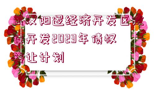 武漢陽邏經(jīng)濟開發(fā)區(qū)建設(shè)開發(fā)2023年債權(quán)轉(zhuǎn)讓計劃