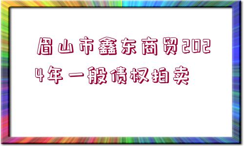 眉山市鑫東商貿(mào)2024年一般債權(quán)拍賣