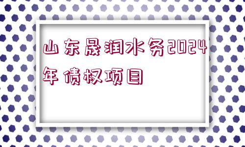 山東晟潤水務(wù)2024年債權(quán)項目