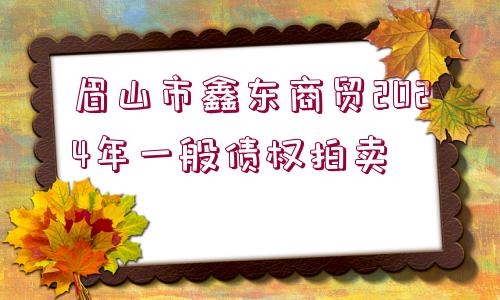 眉山市鑫東商貿(mào)2024年一般債權(quán)拍賣