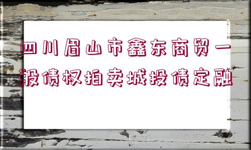 四川眉山市鑫東商貿一般債權拍賣城投債定融