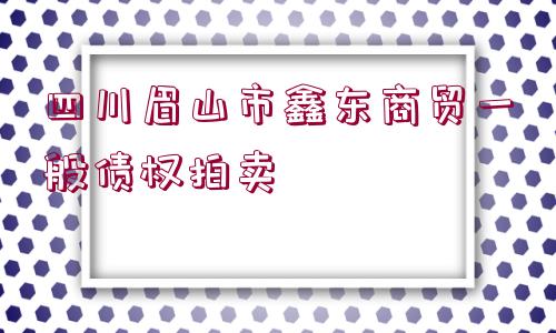 四川眉山市鑫東商貿(mào)一般債權(quán)拍賣