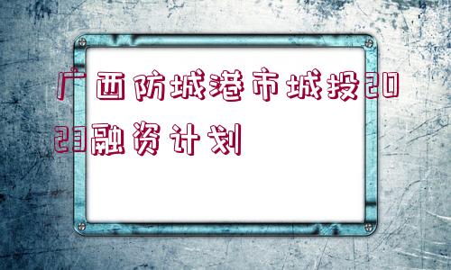 廣西防城港市城投2023融資計劃