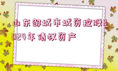 山東鄒城市城資控股2024年債權資產(chǎn)