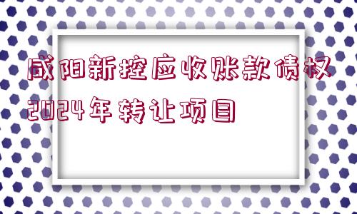 咸陽新控應(yīng)收賬款債權(quán)2024年轉(zhuǎn)讓項目