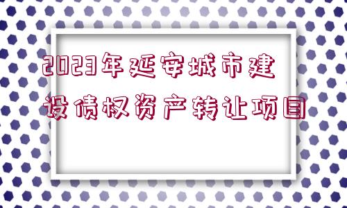 2023年延安城市建設債權(quán)資產(chǎn)轉(zhuǎn)讓項目