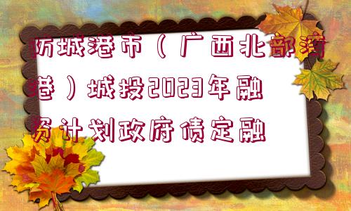 防城港市（廣西北部灣港）城投2023年融資計(jì)劃政府債定融