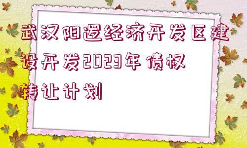 武漢陽邏經(jīng)濟(jì)開發(fā)區(qū)建設(shè)開發(fā)2023年債權(quán)轉(zhuǎn)讓計劃