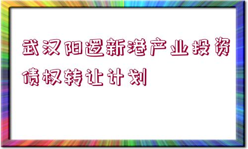 武漢陽邏新港產(chǎn)業(yè)投資債權(quán)轉(zhuǎn)讓計(jì)劃