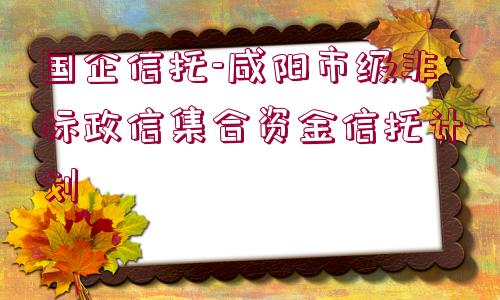 國(guó)企信托-咸陽(yáng)市級(jí)非標(biāo)政信集合資金信托計(jì)劃