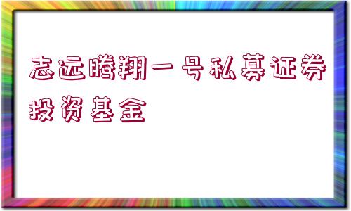 志遠(yuǎn)騰翔一號私募證券投資基金