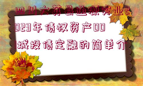 四川大英縣通源實業(yè)2023年債權(quán)資產(chǎn)001城投債定融的簡單介紹