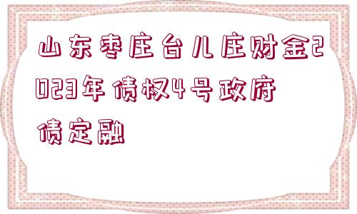 山東棗莊臺兒莊財(cái)金2023年債權(quán)4號政府債定融