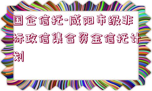 國企信托-咸陽市級(jí)非標(biāo)政信集合資金信托計(jì)劃