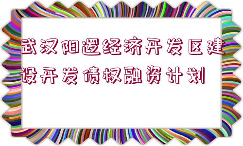 武漢陽邏經(jīng)濟(jì)開發(fā)區(qū)建設(shè)開發(fā)債權(quán)融資計(jì)劃