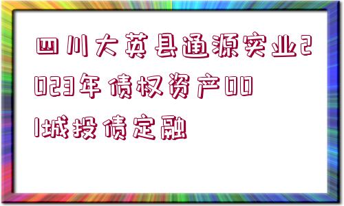 四川大英縣通源實業(yè)2023年債權(quán)資產(chǎn)001城投債定融