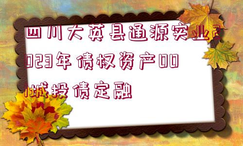 四川大英縣通源實業(yè)2023年債權(quán)資產(chǎn)001城投債定融