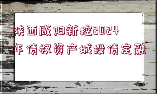 陜西咸陽新控2024年債權(quán)資產(chǎn)城投債定融