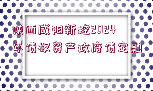 陜西咸陽(yáng)新控2024年債權(quán)資產(chǎn)政府債定融