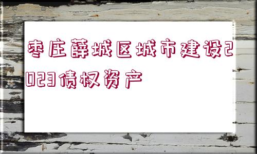 棗莊薛城區(qū)城市建設2023債權資產