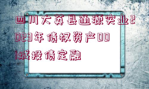 四川大英縣通源實業(yè)2023年債權資產(chǎn)001城投債定融