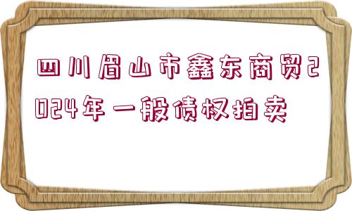 四川眉山市鑫東商貿(mào)2024年一般債權(quán)拍賣