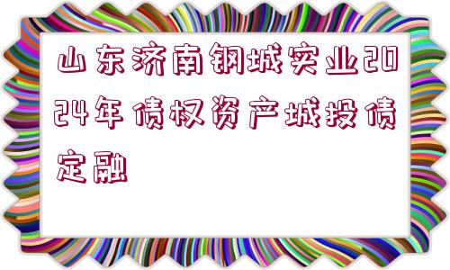 山東濟(jì)南鋼城實業(yè)2024年債權(quán)資產(chǎn)城投債定融