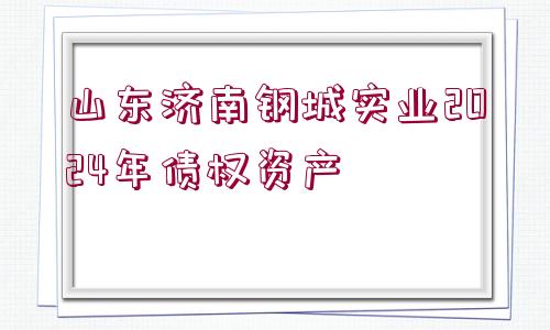 山東濟(jì)南鋼城實(shí)業(yè)2024年債權(quán)資產(chǎn)