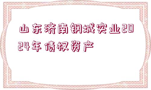 山東濟(jì)南鋼城實(shí)業(yè)2024年債權(quán)資產(chǎn)