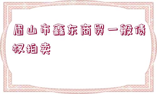 眉山市鑫東商貿(mào)一般債權拍賣